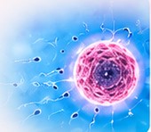 Diagnostic services
