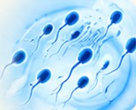Male fertility solutions