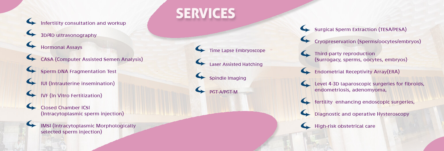 DPU IVF - Services