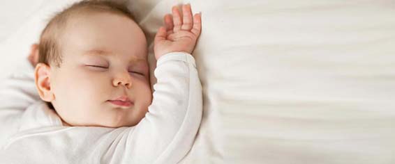 Important Facts about Reproduction