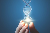 Genetic Design